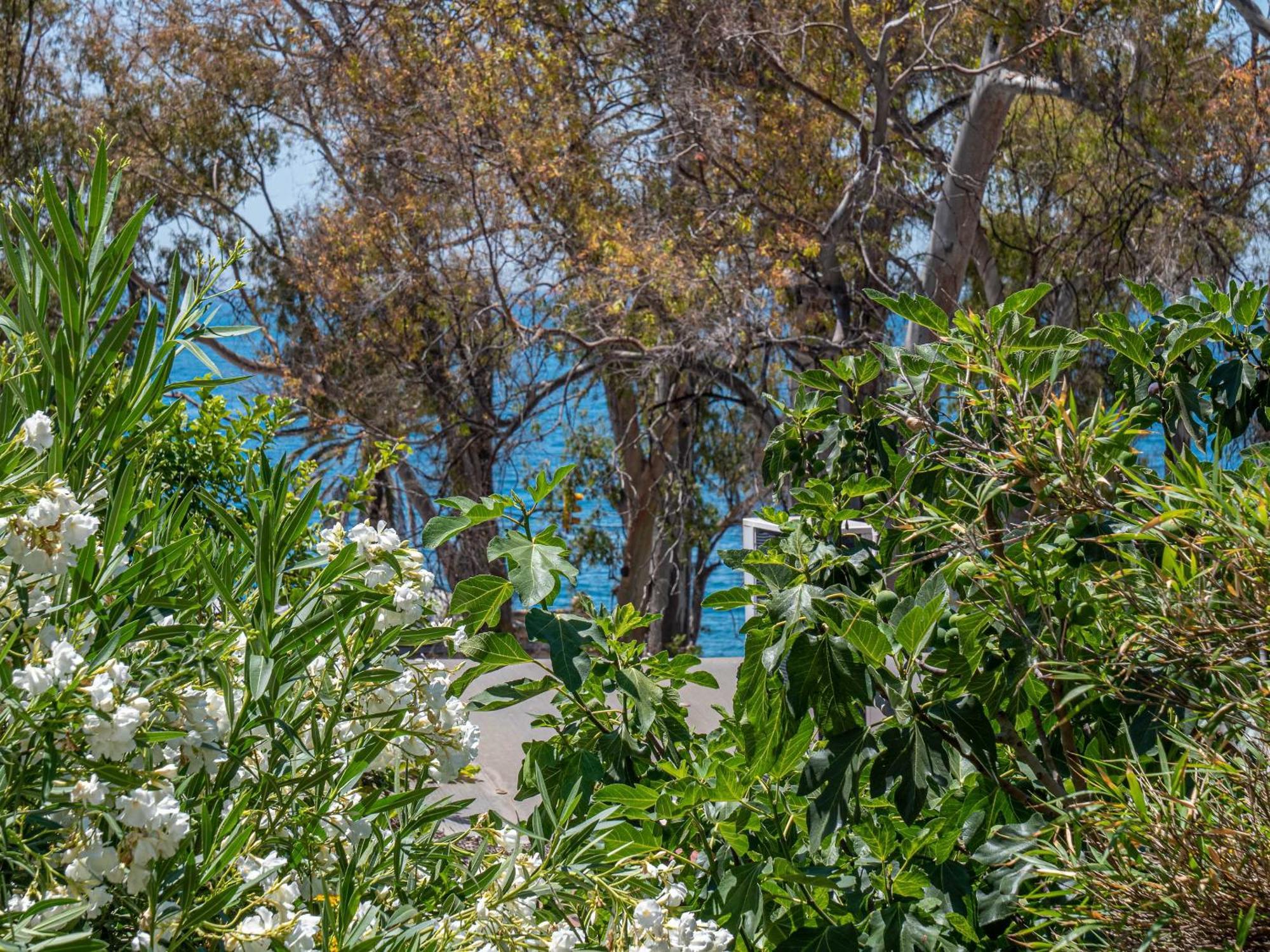 מאלגה Blue Sea - Houses With Terrace מראה חיצוני תמונה